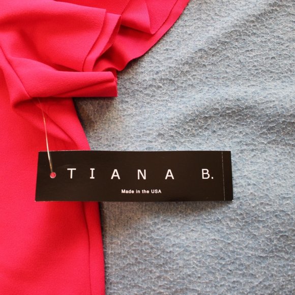 Brand New Tiana B. Womens Dress,  A-Line with Flutter Sleeve, Sz 8 - Picture 5 of 5